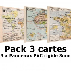 PACK DE 3 CARTES SCOLAIRES VIDAL LABLACHE SUR PANNEAU PVC...