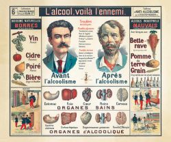 Tableau Mural du Dr. Galtier-Boissiere 6 - ANTI-ALCOOLISME - 120 x 100 cm - (reproduction ancien taleau mural)