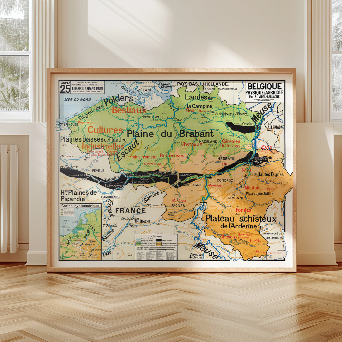 Carte Vidal Lablache 25 - BELGIQUE - PHYSIQUE ET AGRICOLE - 120 x 100 cm (reproduction ancienne carte scolaire)