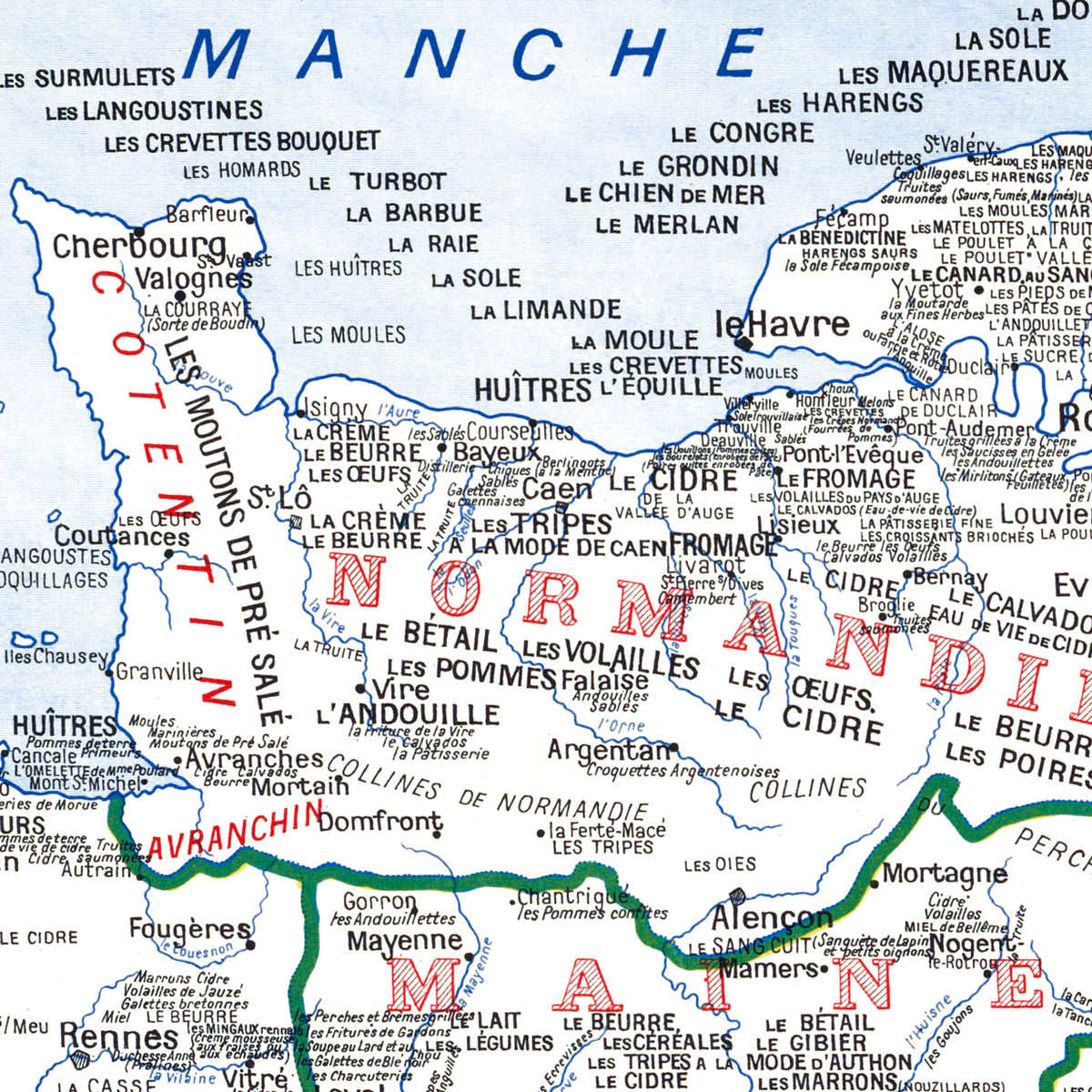 Carte GASTRONOMIQUE de la FRANCE - 100 x 120 cm (reproduction ancienne carte scolaire)
