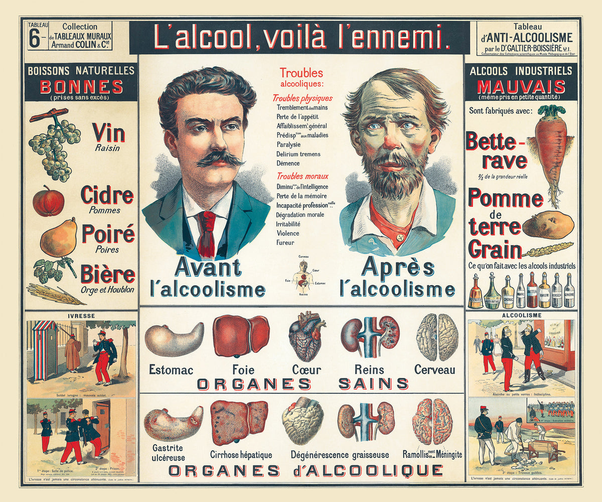 Tableau Mural du Dr. Galtier-Boissiere 6 - ANTI-ALCOOLISME - 120 x 100 cm - (reproduction ancien taleau mural)