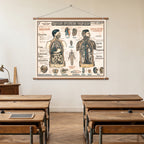 Tableau Mural du Dr. Galtier-Boissiere 7 BIS - LE CORPS HUMAIN - 120 x 100 cm - (reproduction ancien taleau mural)